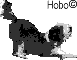 hobo-smr